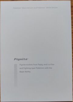 Game Art Folio Pignite back.jpg