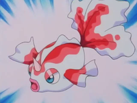 Misty Goldeen.png