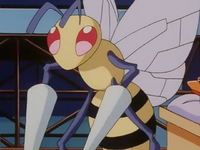 Ash Beedrill.png