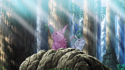 Nidoran f Nidoran m M20.png