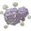 0110Weezing.png