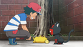 Ash and Litten.png