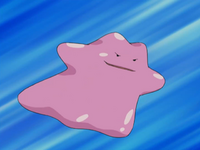 Brodie's Ditto