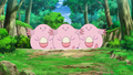 Chansey anime.png