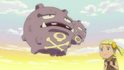 Frank Weezing.png