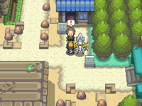 Pokemon HeartGold and SoulSilver - Ruins of Alph Puzzles and Hidden Doors  (SOLVED) 