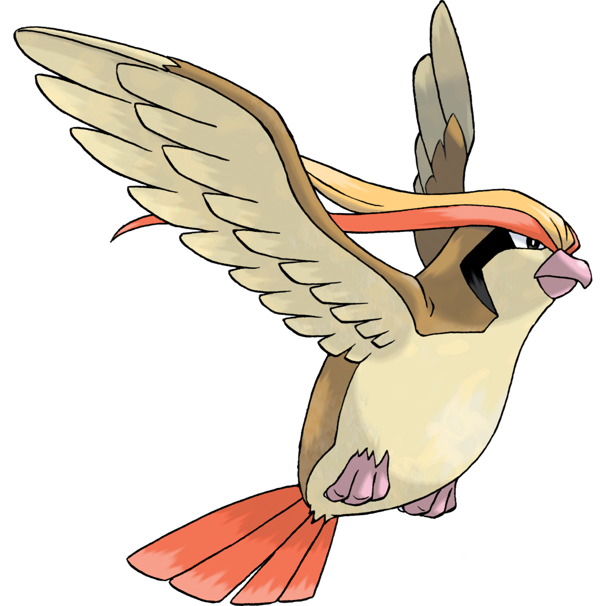 Pidgeot (Pokémon) - Bulbapedia, the community-driven Pokémon encyclopedia