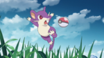 Kanto Route 1 Rattata PO.png