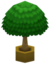 Big Plant VI.png