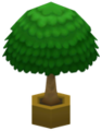 Big Plant VI.png