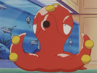 Marcellus's Octillery