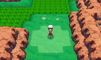 Mirage Island north of Route 124 ORAS.png