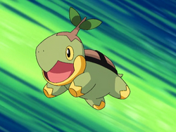 Can we all take a moment and appreciate Turtwig in this scene : r/pokemon