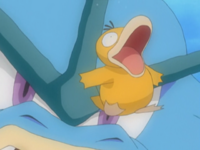 Misty Gyarados Headbutt.png