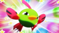 Rocket Prize Master's Natu