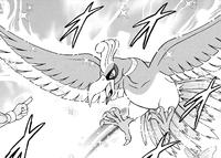 Ho-Oh - Pokemon Black and White Guide - IGN