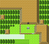 Johto Route 33 GSC.png