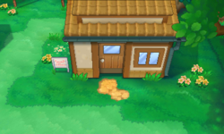Player House exterior f ORAS.png