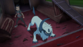Goh and Absol.png