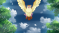 Pidgey Gust PO.png