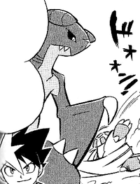 Yū Shirogane's Garchomp