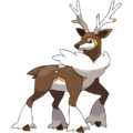 Sawsbuck (winter)