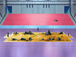 Canalave Gym Battlefield.png