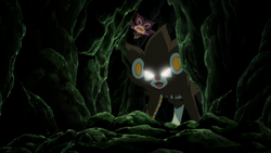 Pokémon the Series episodes featuring Shinx, Luxio and Luxray now available  in a new special collection on Pokémon TV | Pokémon Blog