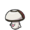 Foongus