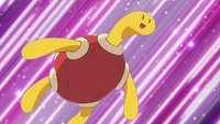 Rebecca's Shuckle