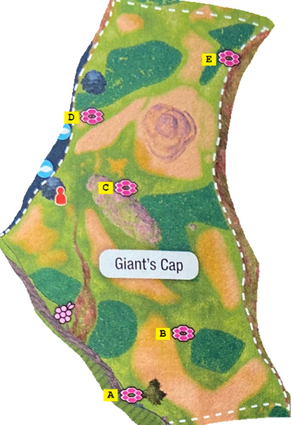 File:Galar Giant's Cap dens SwSh.png