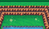 Secret Spot Route 120 5.png