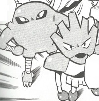 Kiyo's Hitmonchan, International Pokédex Wiki