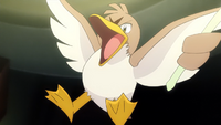 Nini's Farfetch'd