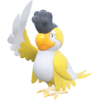 0931Squawkabilly-Yellow.png