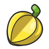 Bag Chilan Berry SV Sprite.png