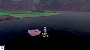 Galar South Lake Miloch den C SwSh.png