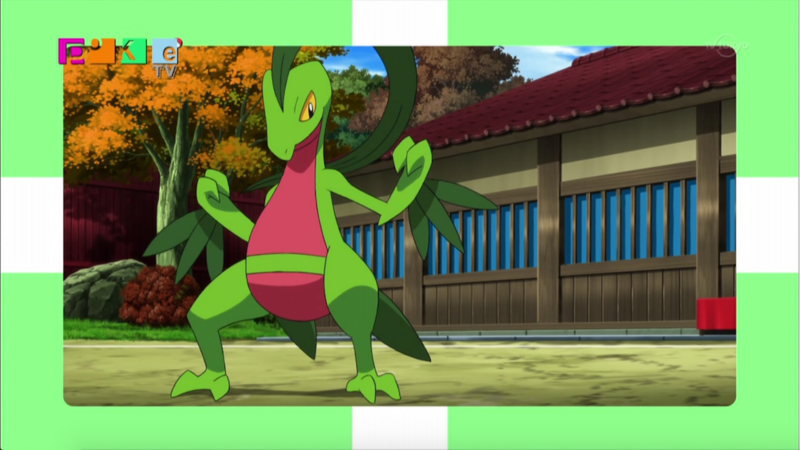 File:PokéTV XY119.png