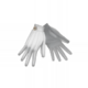 GO Giovanni Gloves female.png