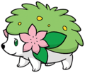 492Shaymin Land Forme Dream 2.png
