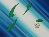 Ash Chikorita Razor Leaf.png