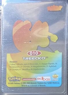 Pokémon Rainbow Lamincards Advanced - back 10.jpg
