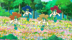 Floette Pokemon Bulbapedia The Community Driven Pokemon Encyclopedia