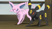 Soleil's Espeon and Umbreon