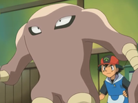 Master Hamm's Hitmonlee