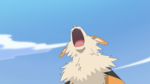 Diana Arcanine Sunny Day.png