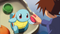 Gary's Squirtle
