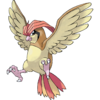 0017Pidgeotto.png