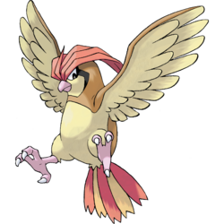 Pidgeotto (Pokémon) - Bulbapedia, the encyclopedia