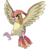 017Pidgeotto.png